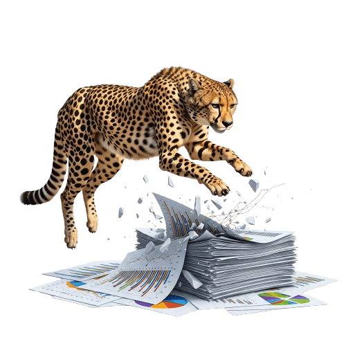 Cheetah Hero