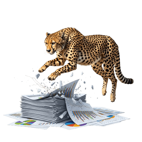 Cheetah Hero